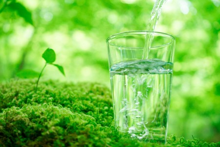 A glass of water in a forrest