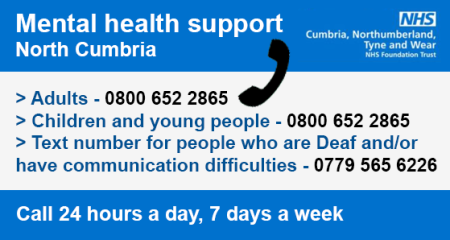 Mental Health Support Numbers image.png